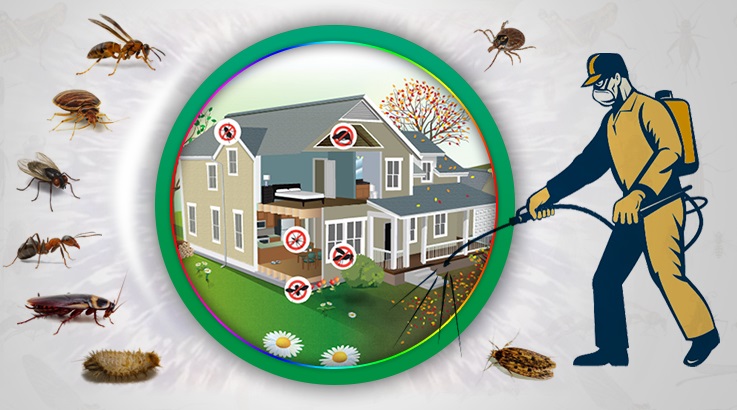 Buruncuk Böcek İlaçlama